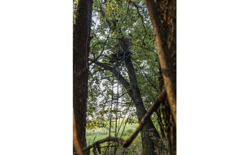 Big dog ladder stands best sale