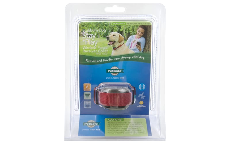 Petsafe stubborn dog collar hot sale battery