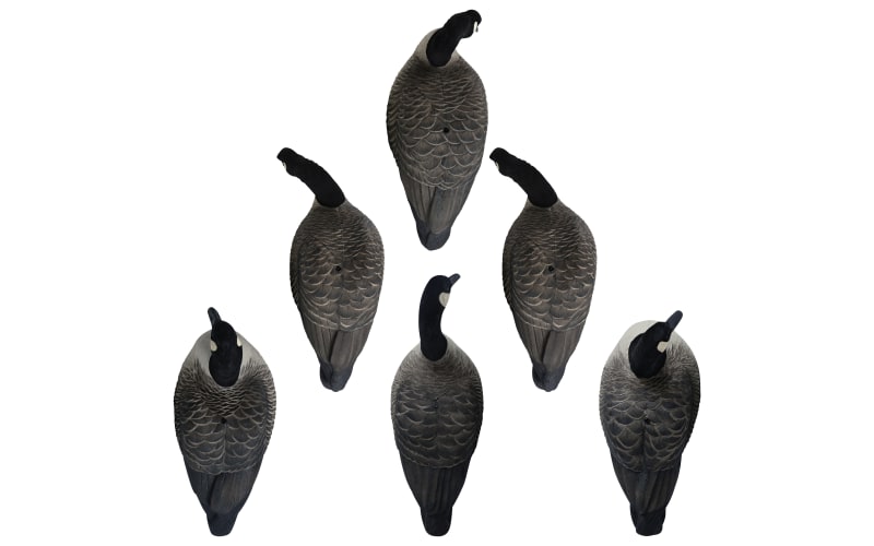 Hardcore Rugged Series Full Body Canada Goose Decoys TouchDown 6