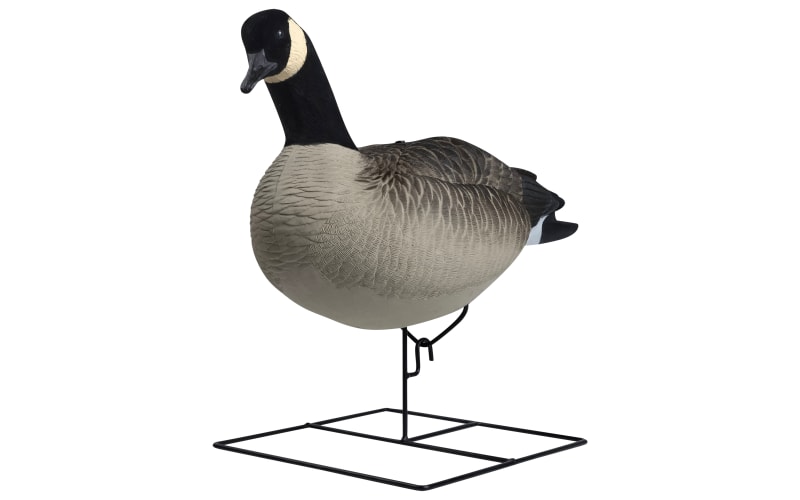 Hardcore Rugged Series Full Body Canada Goose Decoys TouchDown 6