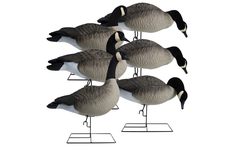 Hardcore Rugged Series Full Body Canada Goose Decoys TouchDown 6