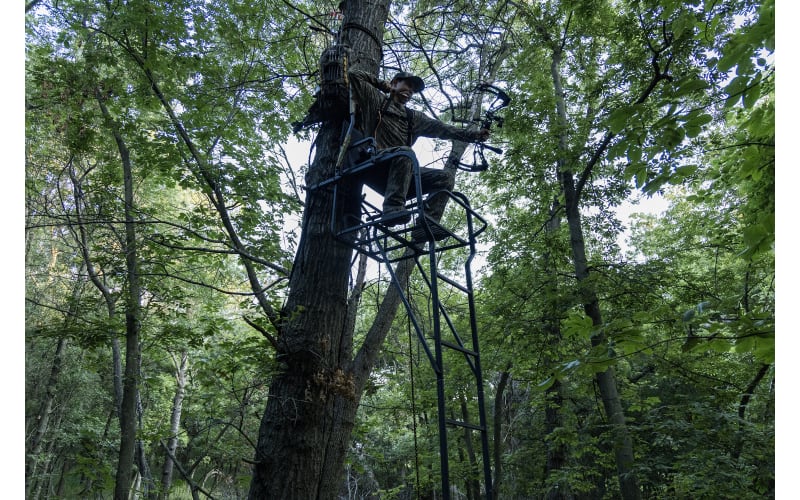 Big Game Hunter HD Ladder Stand Bass Pro Shops