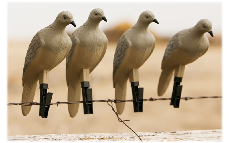 Dove CDセット GHG Mourning Dove Decoy 6PK - Walmart.com