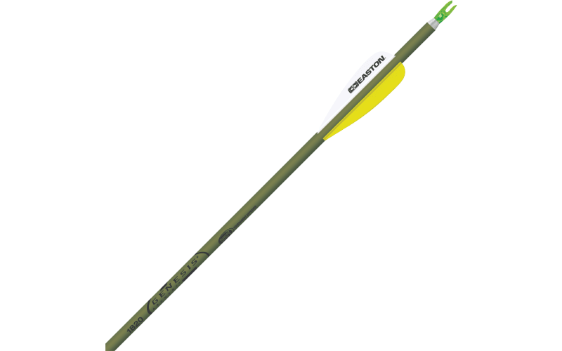 Easton XX75 Genesis NASP Arrows | Cabela's