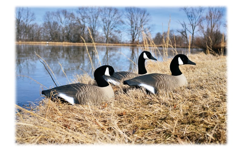 Higdon Outdoors Standard Canada Goose Shell Decoys Bass Pro Shops