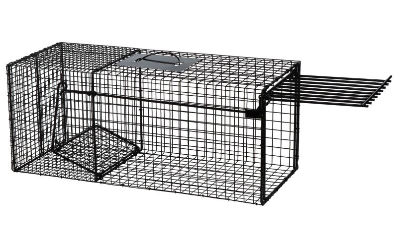 Cage trap cheap