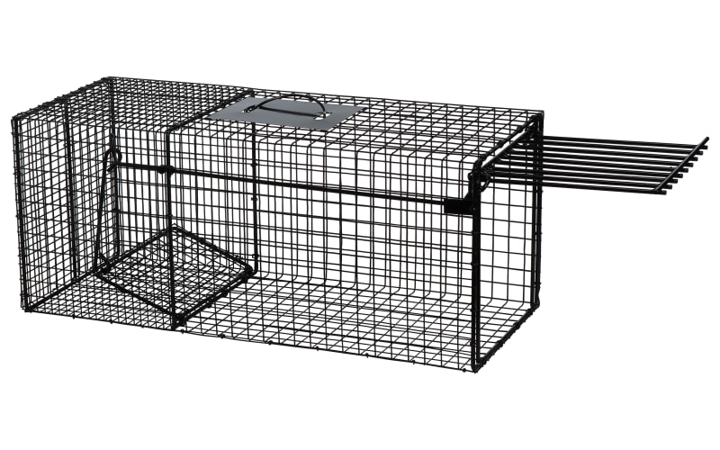 LifeSupplyUSA Humane Live Animal Trap - Catch and Release 1-Door Cage Trap  for Large Dogs, Foxes, Coyotes, Similar Sized Animals - No Kill Easy