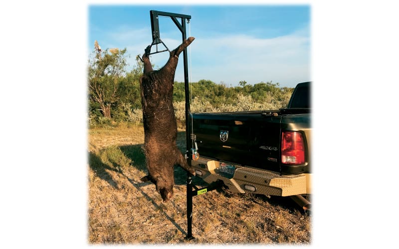 Deer hoist sale