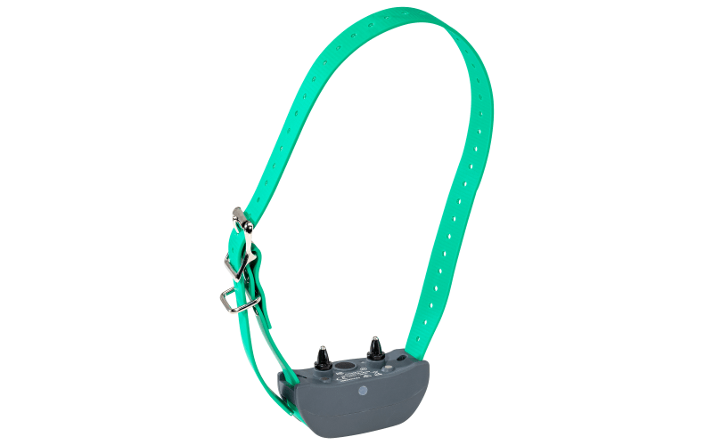 Sportdog 1825 add a cheap collar