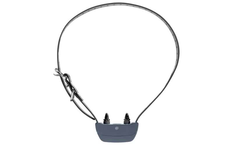 Sportdog 825x hot sale