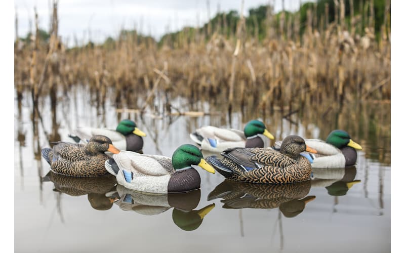 HEYDAY HydroFoam Mallard Duck Decoys 6-Pack | Mack's Prairie Wings