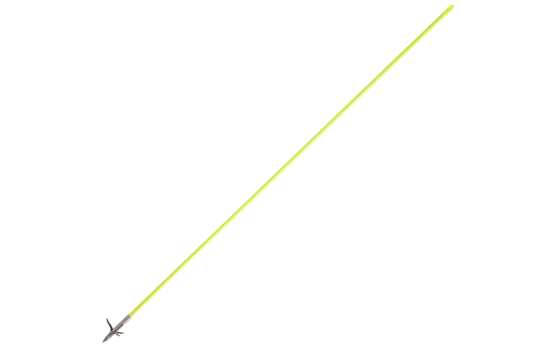 Muzzy Classic Chartreuse Fiberglass Bowfishing Fish Arrow with Nock  Installed