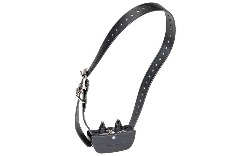 Cabelas bark collar discount