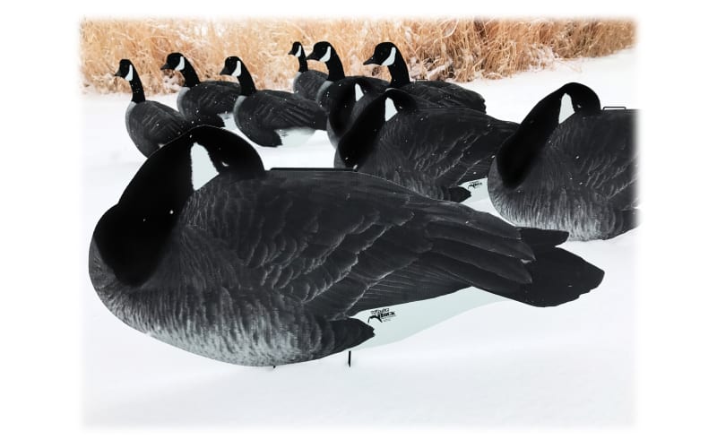 White Rock Decoys Silhouette Canada Goose Decoy Sleeper Pack