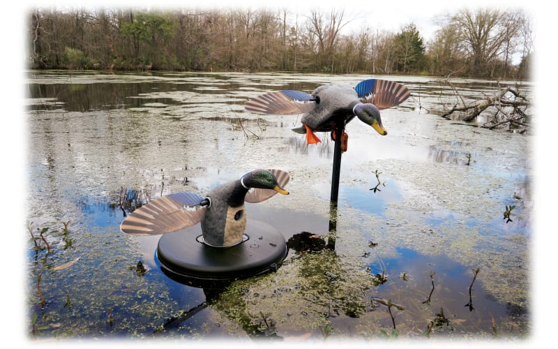 MOJO Outdoors The Knot Wading Pole Walking Stick for Duck Hunting and Fly  Fishing