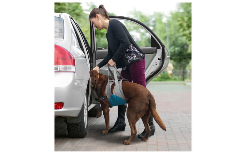 Kurgo Up and About Dog Lifter Cabela s