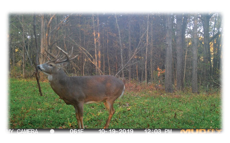 Muddy Manifest Cellular Trail Camera Cabela's