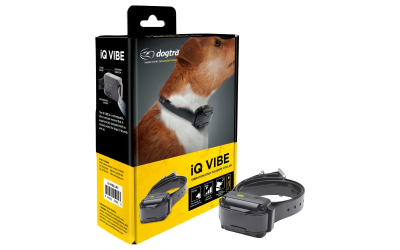 Dogtra iQ VIBE No Bark Dog Training Collar Mack's Prairie Wings