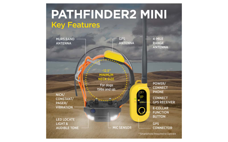 Dogtra mini hot sale pathfinder