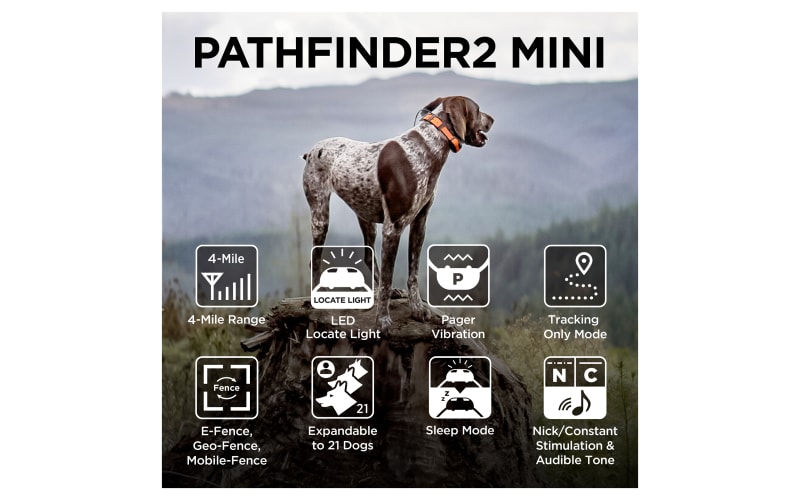Dogtra Pathfinder2 Mini GPS Dog Tracking and Training System