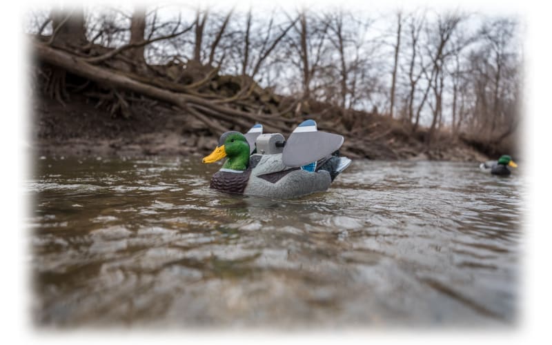 Lucky Duck Lucky Floater HD Motorized Duck Decoy with Remote 2.0