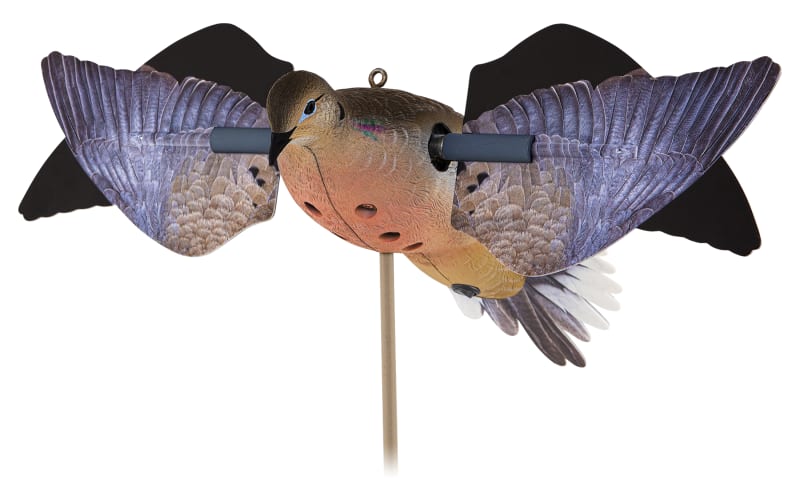 master1_100983490_alt2?pgw=1