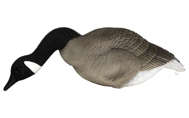 Canada goose 2025 vs 9mm