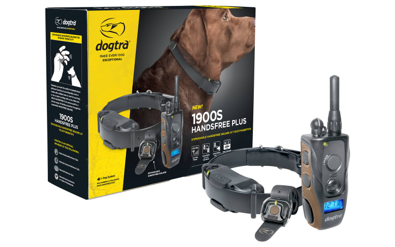 Dogtra dog training clearance collars