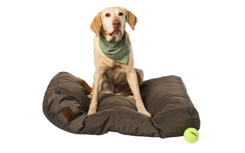 Carolina Pet Brutus Tough Chew Resistant Napper Dog Bed Olive Large