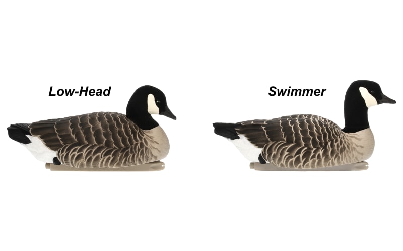 Avian X Topflight Lessers Floating Canada Goose Decoys Bass Pro