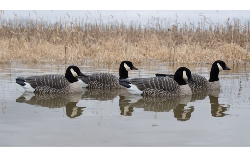 News on canada goose unplayable holdings