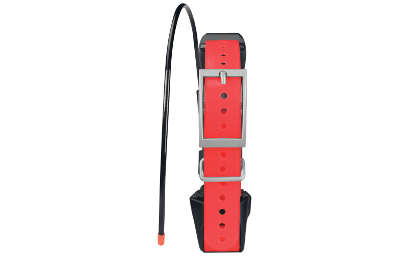 Tracking and training collars sale