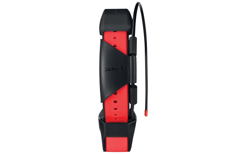 Alarmerende Skrivemaskine kontoførende Garmin TT 15X Dog Tracking and Training Collar | Cabela's