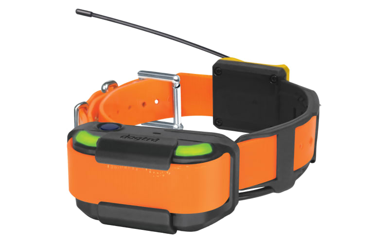 Dogtra Pathfinder2 GPS Dog Tracking and Training System Cabela s