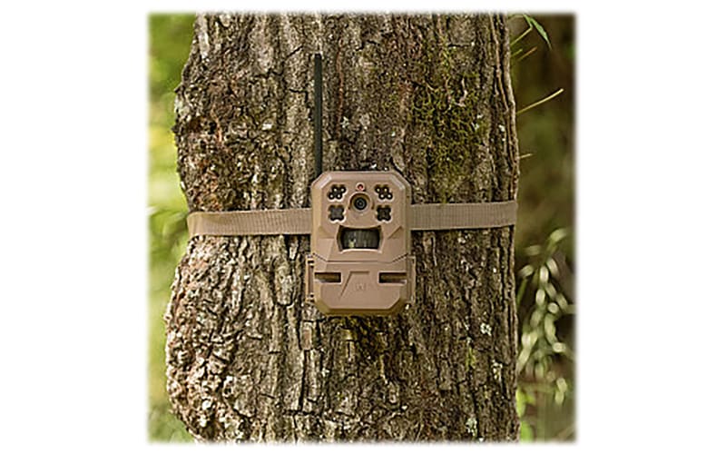 Moultrie Mobile® Edge Pro Cellular Camera