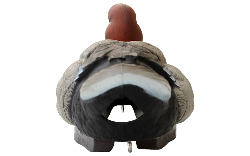 HEYDAY HyrdoFoam Redhead Duck Decoys 6-Pack | Mack's Prairie Wings