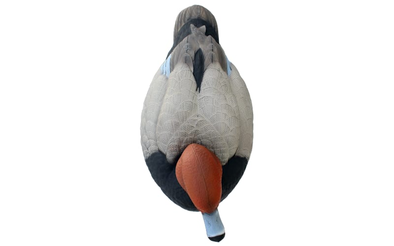 HEYDAY HyrdoFoam Redhead Duck Decoys 6-Pack | Mack's Prairie Wings