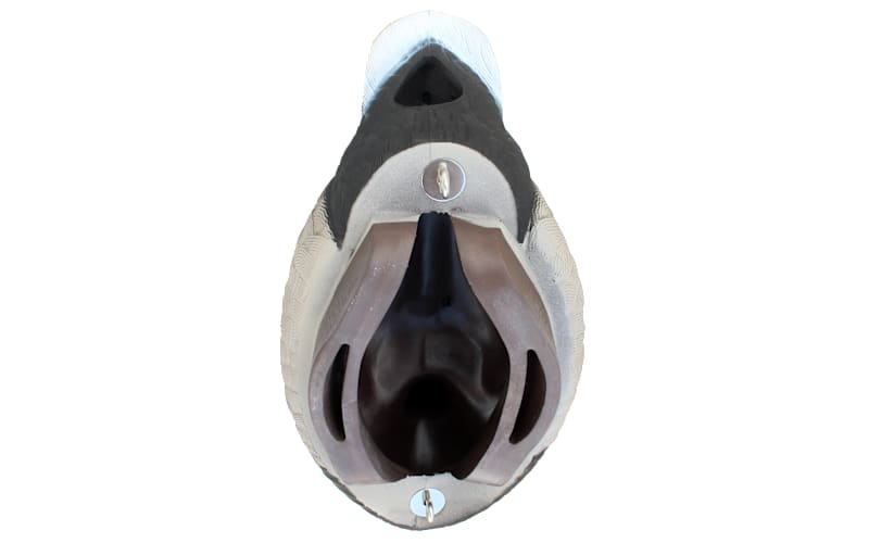 HEYDAY HyrdoFoam Redhead Duck Decoys 6-Pack | Mack's Prairie Wings