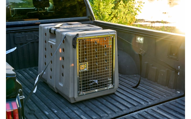 Cabela s GunDog Intermediate Dog Kennel Cabela s