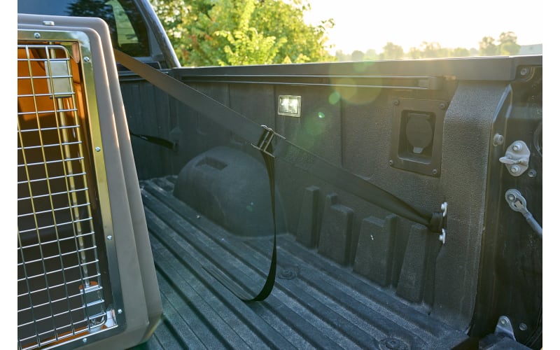 Cabela's dog crate online