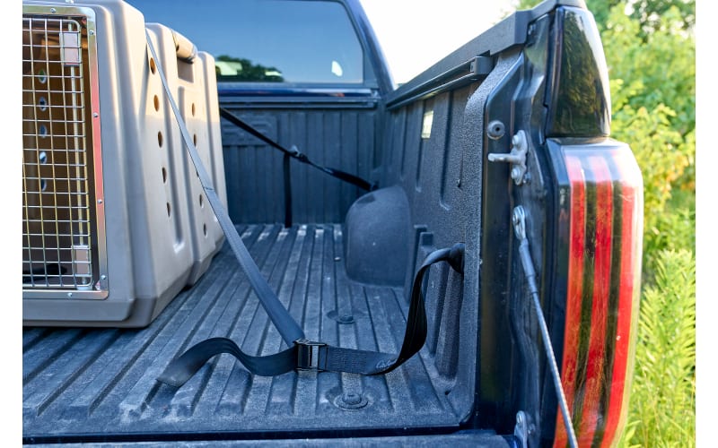 Cabela's dog crate discount