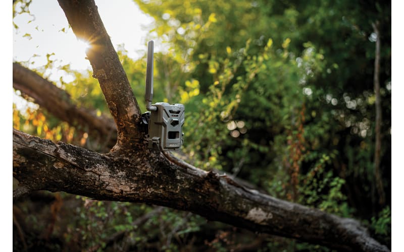 SpyPoint FLEX G-36 Cell Camera