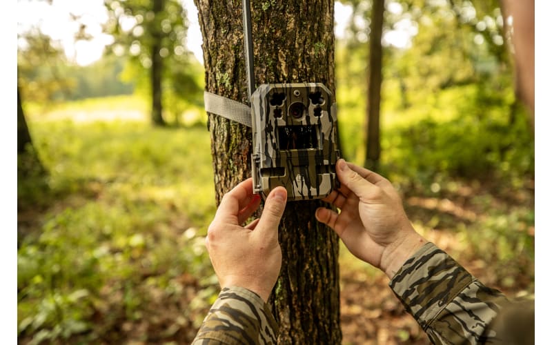 Cut to the Chase With the Moultrie Mobile Edge Pro Cellular Trail Cam