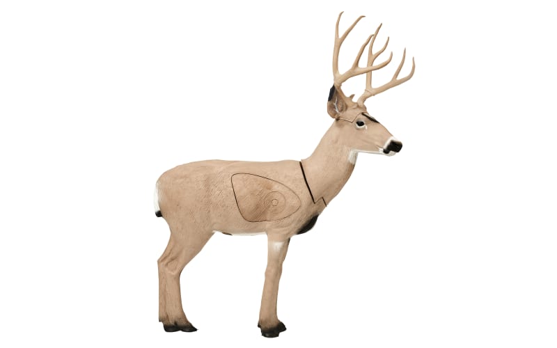 Deer 2024 target archery