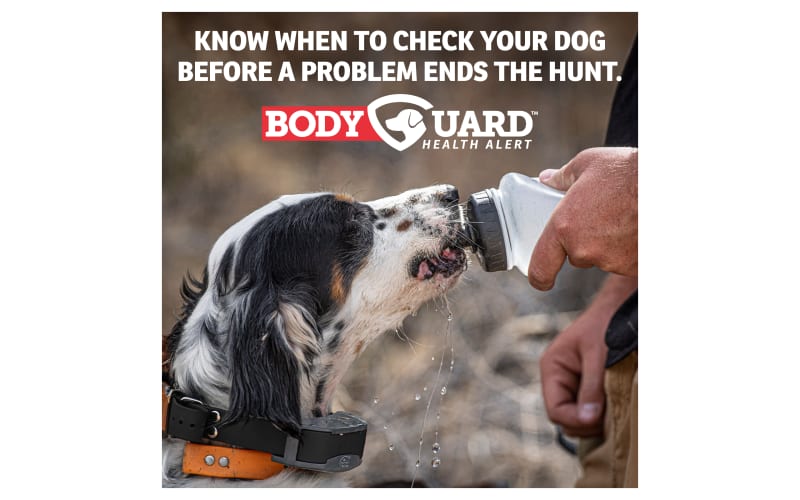 SportDOG® FieldSentinel™ Series with BodyGuard™ Health Alerts