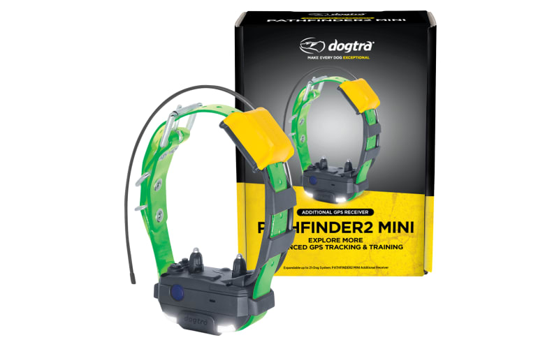 Cabelas dogtra collars 2025