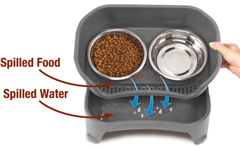 Neater Pets EXPRESS Neater Feeder Dog Feeder Cabela's - Main Image