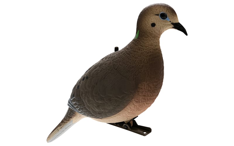 Avian-X Full-Body Dove Decoys 4-Pack | Bass Pro Shops