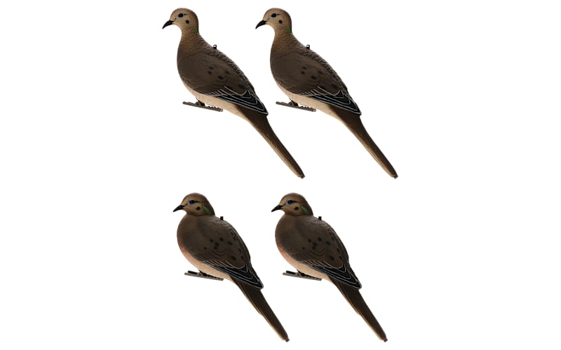 Avian-X Full-Body Dove Decoys | Bass Pro Shops