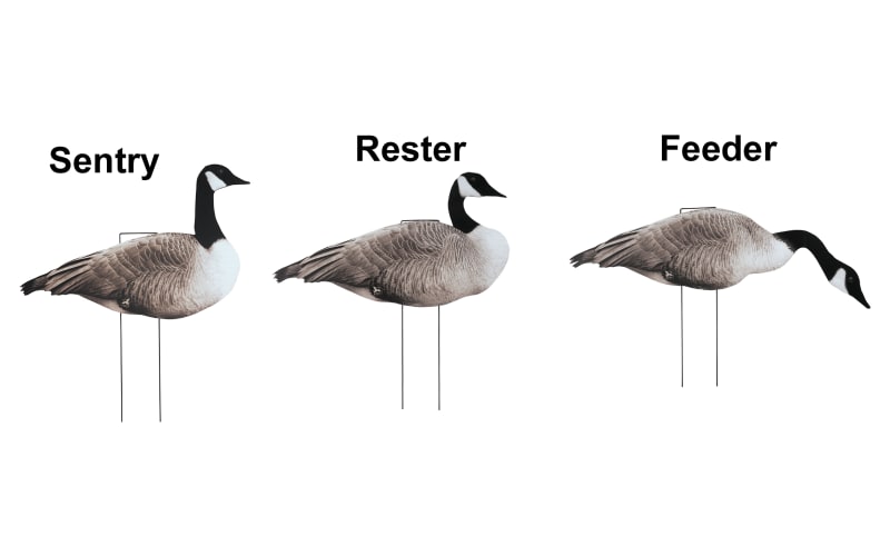 Northern Flight Canada Goose V2 Silhouette Goose Decoys Cabela s
